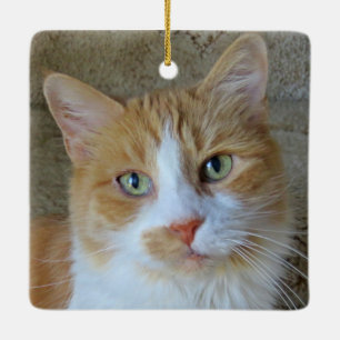 Orange & White Ginger Cat Ornament