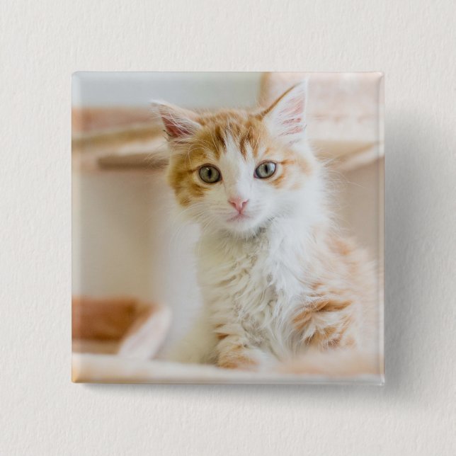 Orange & White Kitten 15 Cm Square Badge (Front)