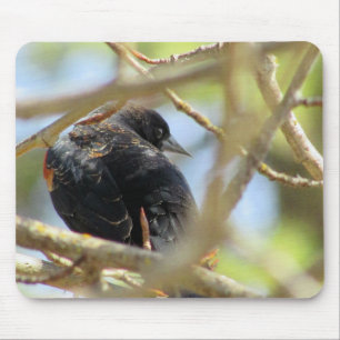 Orange Winged Black Bird Mouse Mat