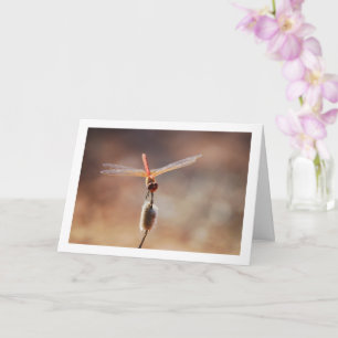 Orange-winged Dropwing Dragonfly Card