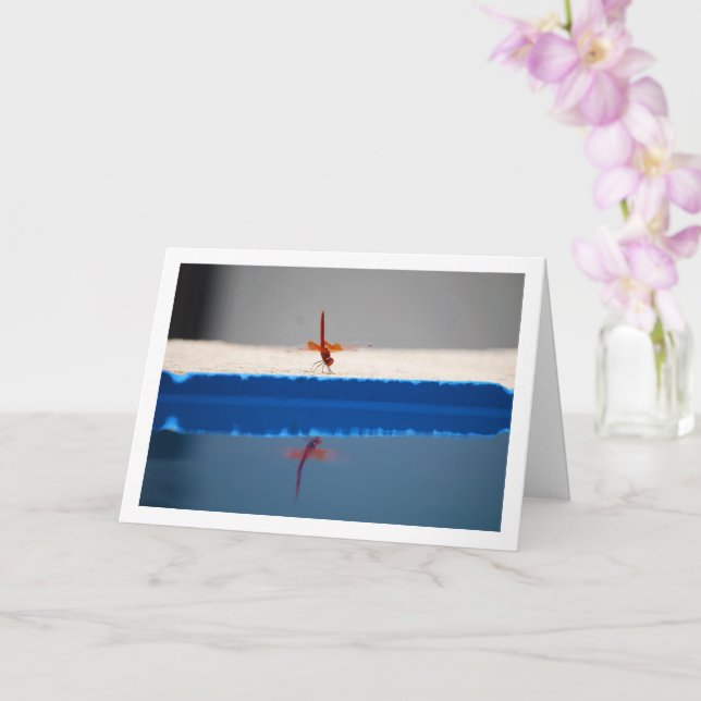 Orange-winged Dropwing Dragonfly Card (Orchid)