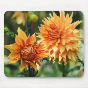 Orange & Yellow Dahlia Flowers at Wisley Gardens Mouse Mat