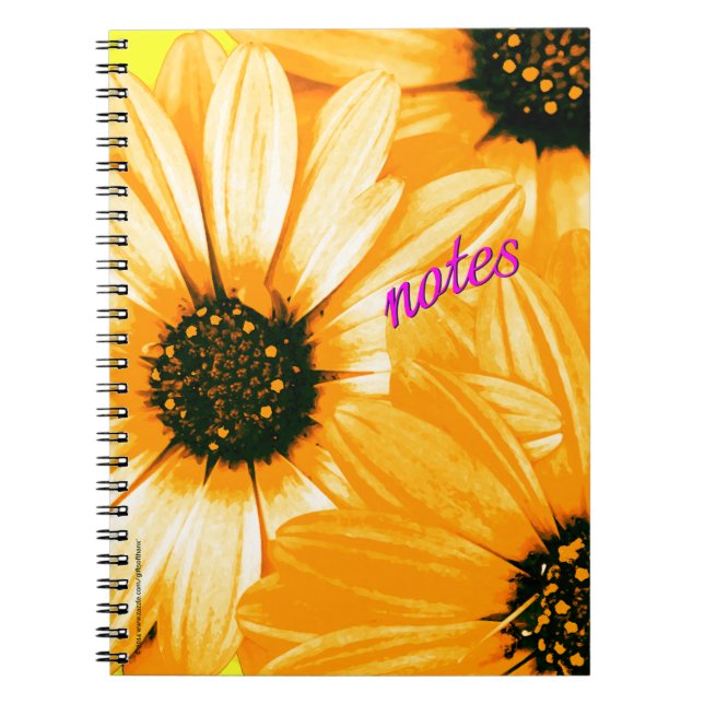 Orange/Yellow Daisies, notes - Spiral Notebook (Front)