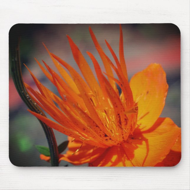 Orange Yellow Flower Petals Mouse Mat (Front)