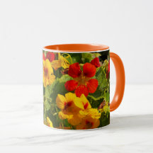 orange yellow flowers, nasturtiums, floral, garden