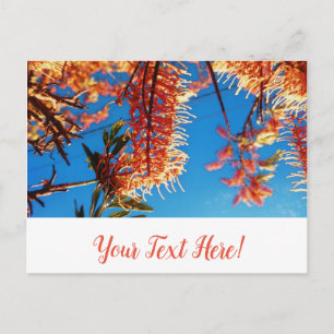 Orange Yellow Flowers Tree Sky Postcard