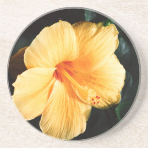 Orange Yellow Hibiscus Flower Coaster