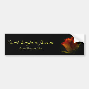 Orange & Yellow Rose Bumper Sticker with quote