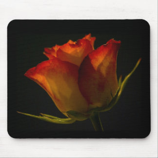 Orange & Yellow Rose Mouse Mat