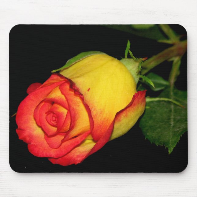 Orange-Yellow  Rose Mouse Mat (Front)