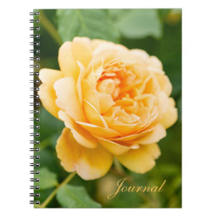 Orange Yellow Rose Notebook