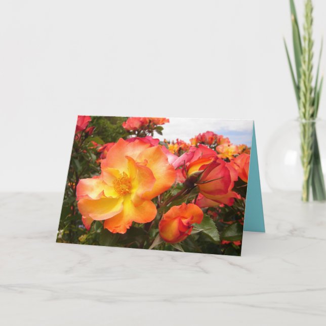 Orange Yellow Roses floral Flowers Birthday Card (Front)