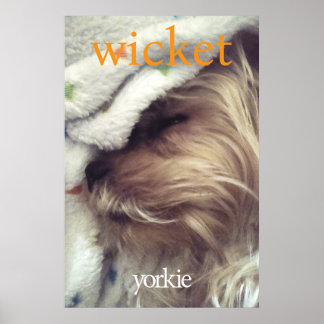 Orange Yorkie Name & Photo Poster