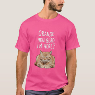 Orange You Glad I'm Here Funny Tabby Cat Lover Gra T-Shirt