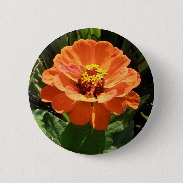 Orange Zinnia Button (Front)