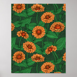 Orange Zinnia flowers, green leaves on dark green Poster