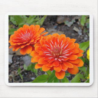 Orange Zinnia flowers Mouse Mat