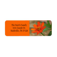Orange Zinnia Profusion