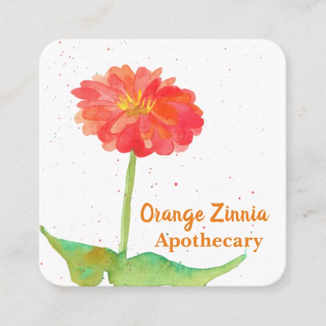 Orange Zinnia Watercolor Flower Square Business Card (Front)
