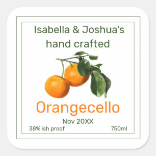 Orangecello label vintage orange illustration
