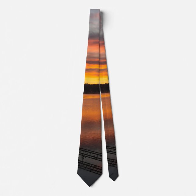 Orangelicious Morning Neck Tie (Front)