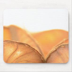 Orangene Frucht Mouse Mat