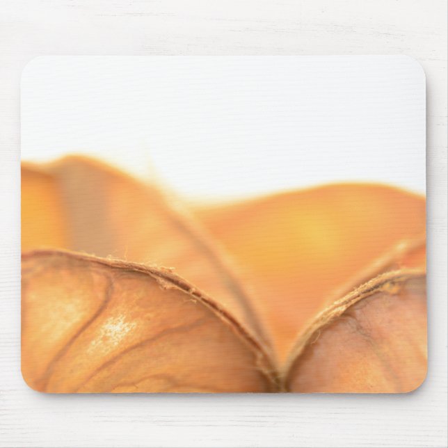 Orangene Frucht Mouse Mat (Front)
