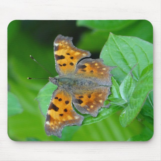 Oranger Schmetterling Mouse Mat (Front)