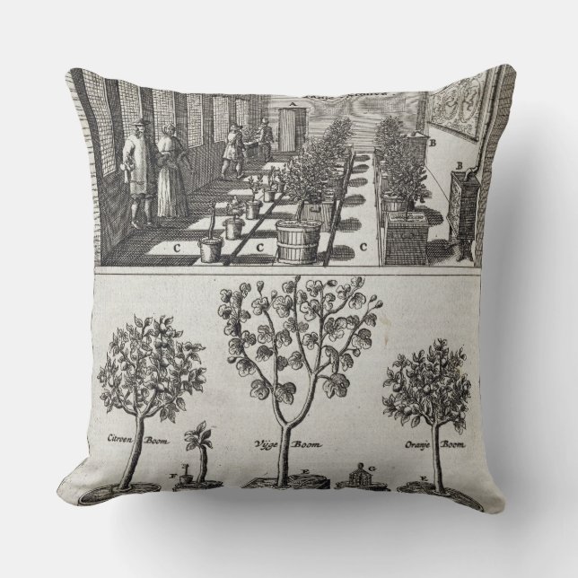 Orangery, from 'De Nederlandze Hesperides' by Jan Cushion (Front)