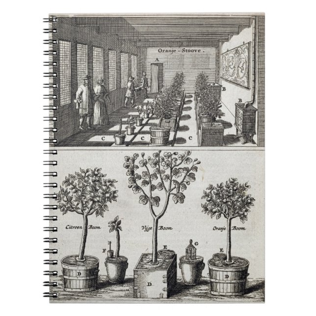 Orangery, from 'De Nederlandze Hesperides' by Jan Notebook (Front)