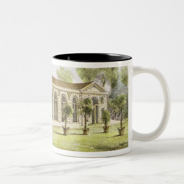 Orangery, Kew Gardens, plate 11 from 'Kew Gardens: Two-Tone Coffee Mug (Right)