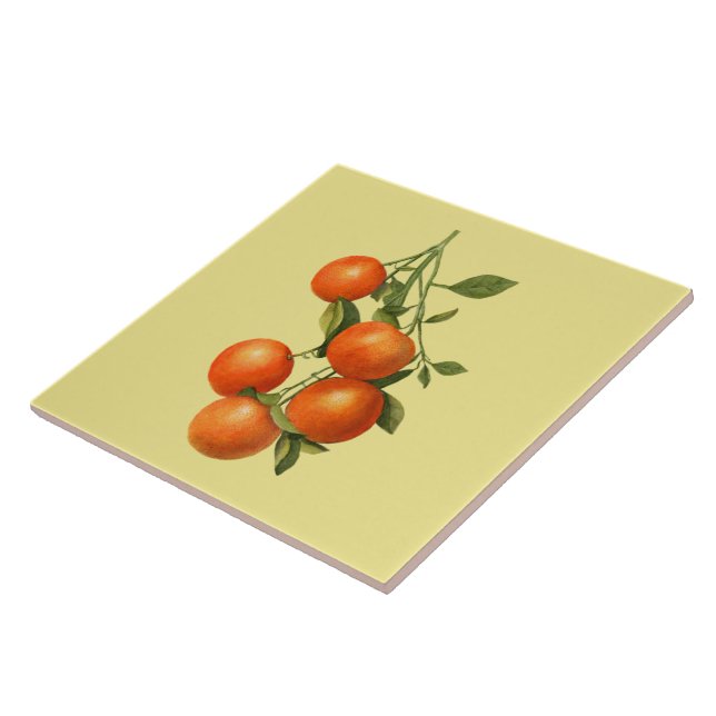 Oranges ~ Botanical Tile ~ Kitchen ~ Any Colour ~ (Side)