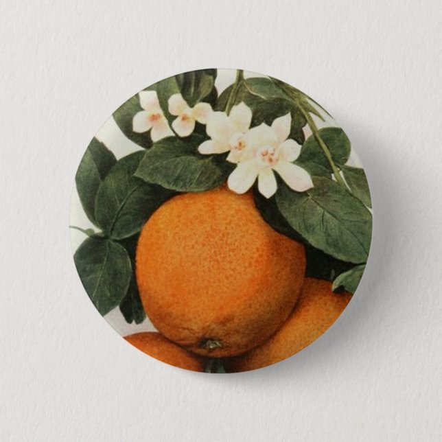 ORANGES button (Front)