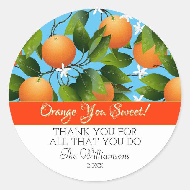 Oranges Citrus Fruit Canning | Thank You Classic Round Sticker (Front)