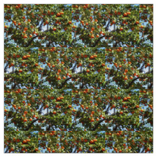 Oranges Fabric