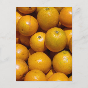 Oranges fruit Florida market orange  Postcard