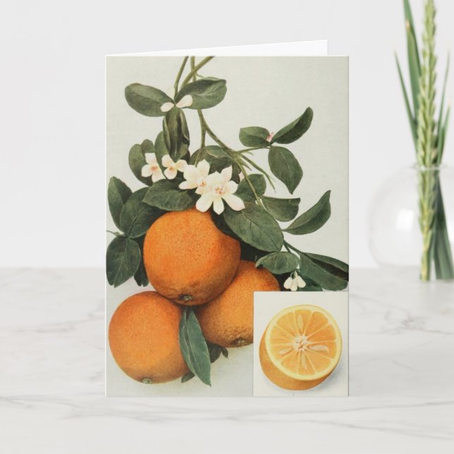 ORANGES greeting card (Front)