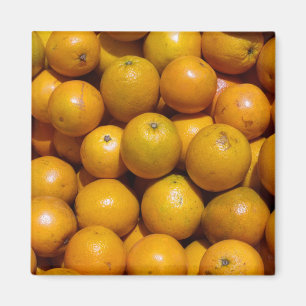 Oranges Magnet