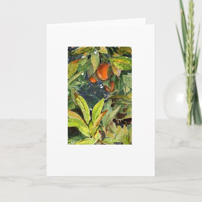 Oranges on the tree pencil  enhanced extra dry card (Front)