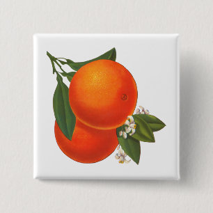 Oranges Vintage Crate Art 15 Cm Square Badge