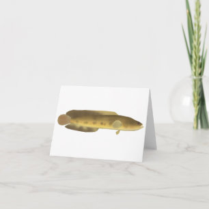 Orangespotted Snakehead Note Card