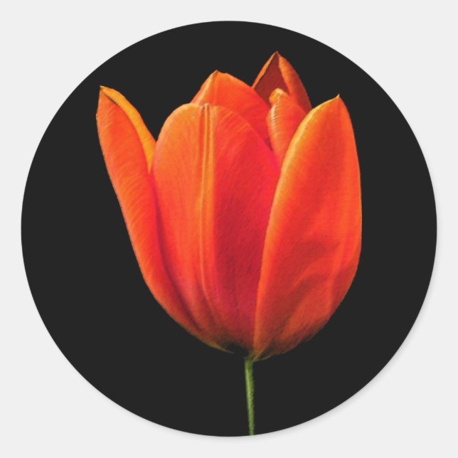OrangeTulip Classic Round Sticker (Front)