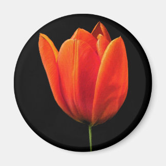 OrangeTulip Magnet