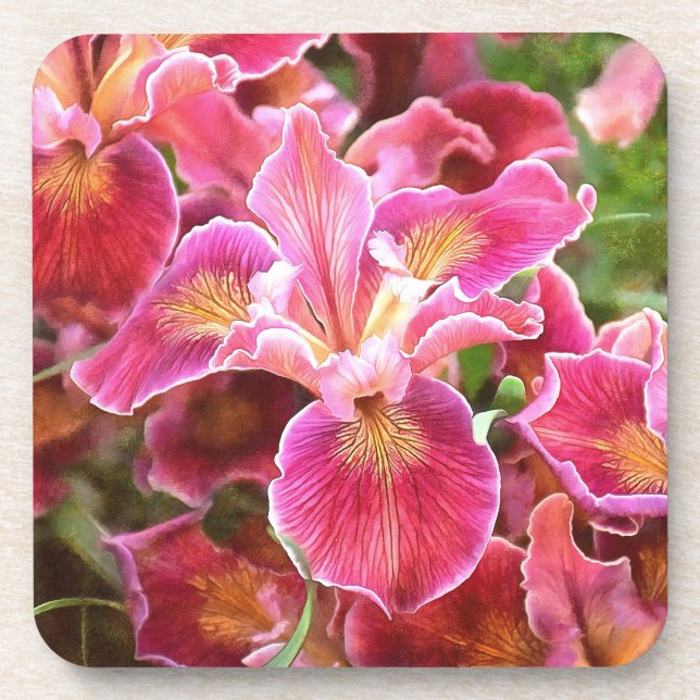 Orangish Pink Iris Coaster (Front)