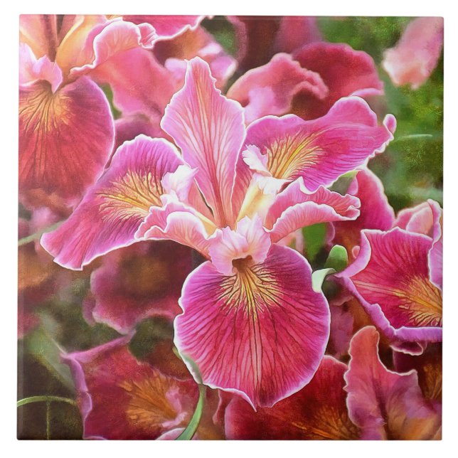 Orangish Pink Iris Tile (Front)