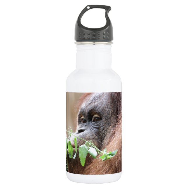 OrangUtan005 532 Ml Water Bottle (Front)