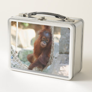 OrangUtan 001 Metal Lunch Box