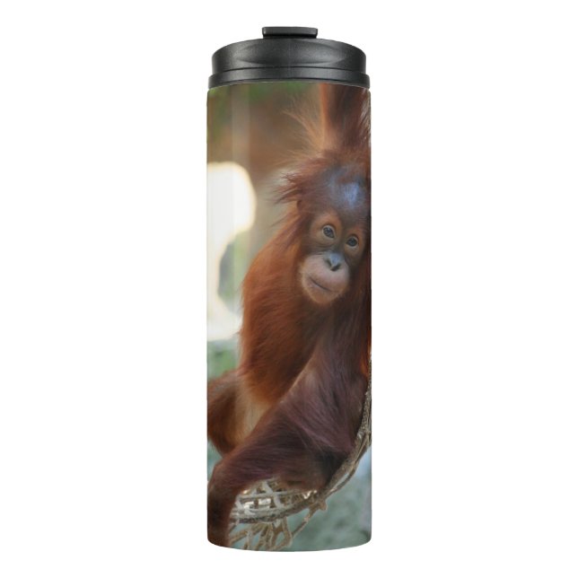 OrangUtan 001 Thermal Tumbler (Front)