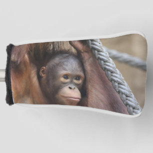 OrangUtan 002 Golf Head Cover