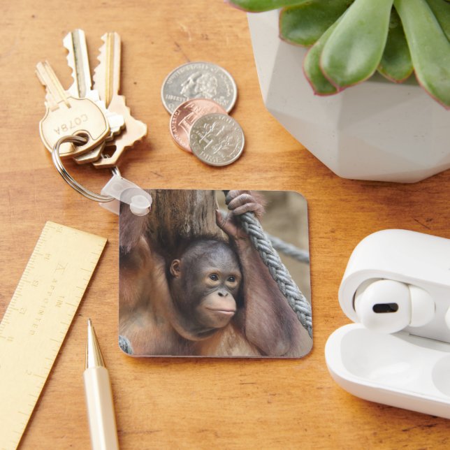 OrangUtan 002 Key Ring (Desk)